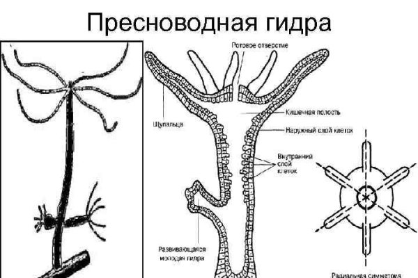 Мега онион ссылка на тор