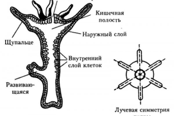 Магазины меф